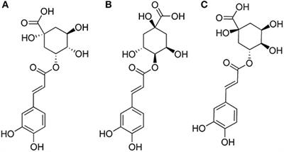 Study on the Interactions Between Caffeoylquinic Acids With Bovine Serum Albumin: Spectroscopy, Antioxidant Activity, LC-MSn, and Molecular Docking Approach